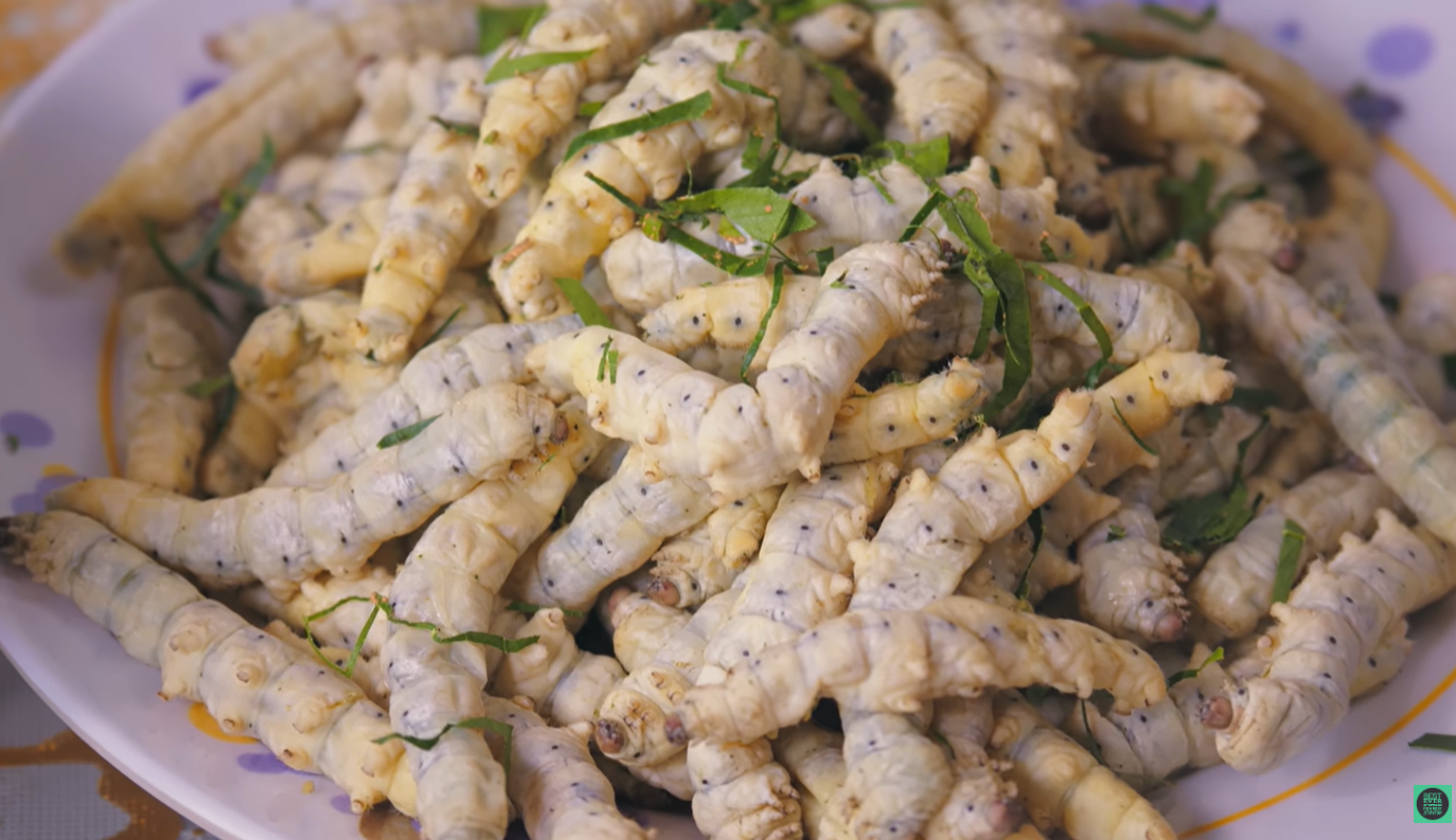 Khách Tây thử món 'kén' người ăn ở Lâm Đồng, khen vị béo ngậy như kem - 2