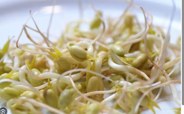 Người bị suy thận nên hạn chế ăn giá đỗ.