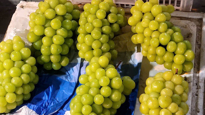 Nho sữa Trung Quốc được bán tại thị trường Việt Nam với giá rất rẻ so với sản phẩm nhiều nước khác