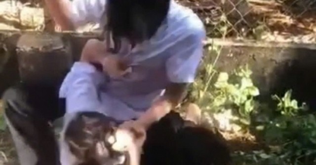 Hai nữ sinh cấp 2 lao vào đánh nhau, một em nhập viện điều trị