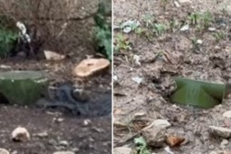 Nghi vấn Mỹ rải mìn tại miền nam Iran: Dấu hiệu leo thang mới trong xung đột