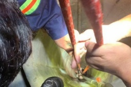 Xuyên đêm cứu thiếu nữ rơi xuống giếng sâu ở Gia Lai