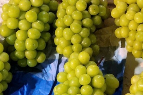 Việt Nam chi hàng trăm triệu USD nhập khẩu nho tươi Trung Quốc
