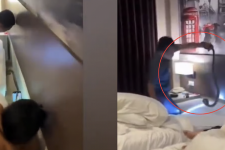 Rắn hổ mang xuất hiện trong phòng ngủ tại khách sạn