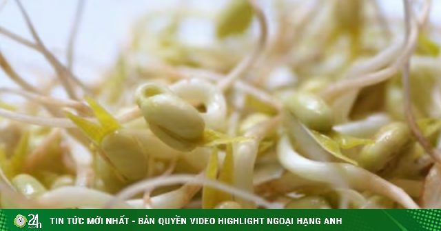 Người bị suy thận có ăn được giá đỗ không, cách sử dụng?