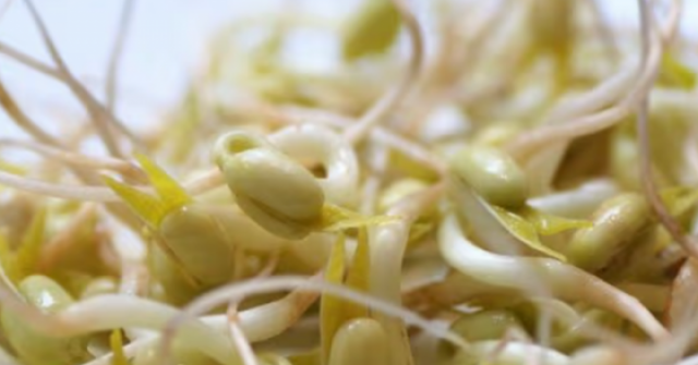 Người bị suy thận có ăn được giá đỗ không, cách sử dụng?