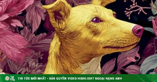 Đang khó khăn bỗng trúng vận: 3 con giáp tiền về dồn dập, túi đầy trở lại