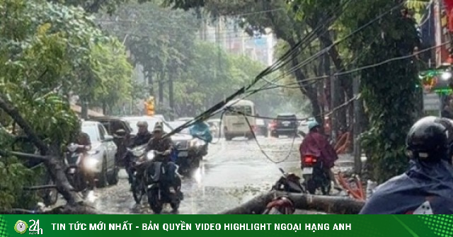 Cây xanh bật gốc trong mưa, đè trúng người đi xe máy