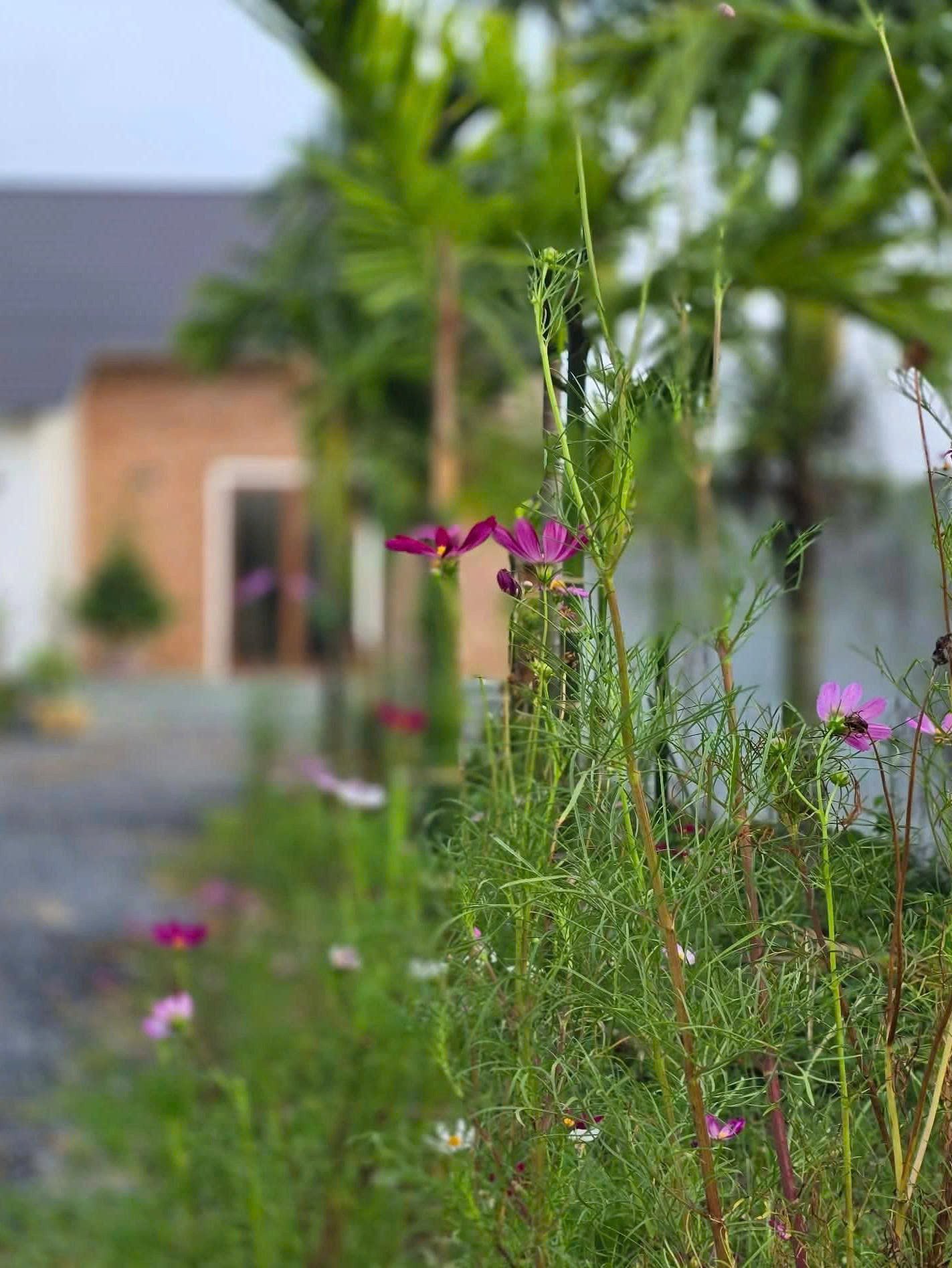 Toàn bộ công trình do Tạ Minh Tâm tự lên ý tưởng và chỉ đạo xây dựng. Nhờ đi diễn nhiều, ông có cơ hội quan sát, học hỏi kiến trúc ở các vùng rồi chắt lọc, đưa vào không gian sống.