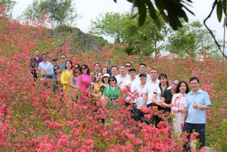 Hoa đỗ quyên bung nở ở Mộc Châu - 7