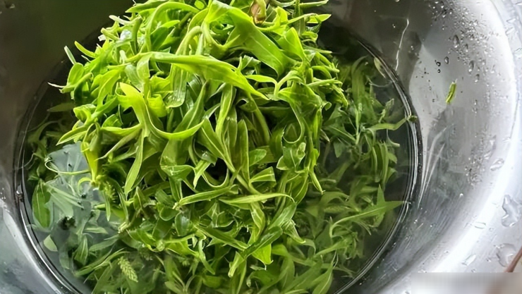 Loại rau dại giàu vitamin, giúp thanh nhiệt, giải độc, ăn một miếng cảm nhận hương vị mùa xuân đích thực - 5