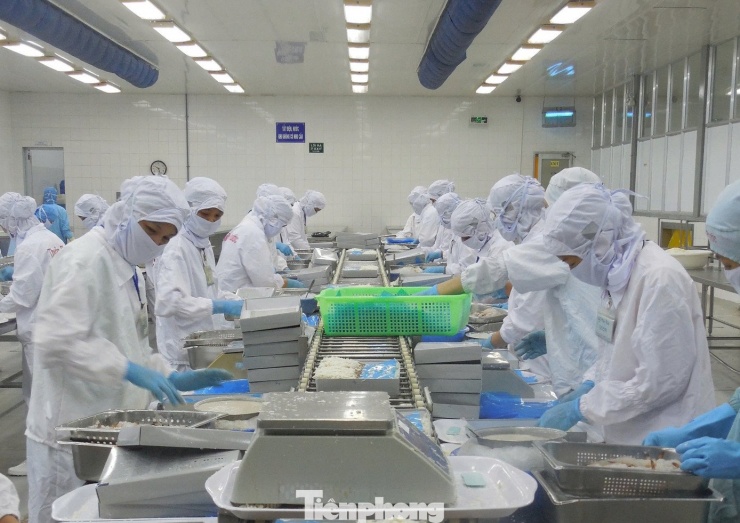 Doanh nghiệp gặp khó do chi phí đầu vào tăng. Ảnh: Giang Thanh.