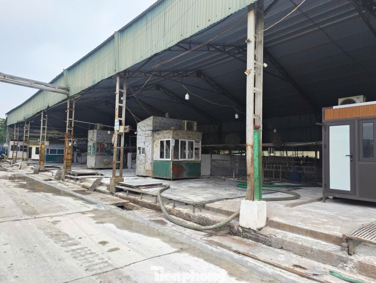Bên trong cơ sở giết mổ tập trung có khoảng 20 cơ sở giết mổ hoạt động.