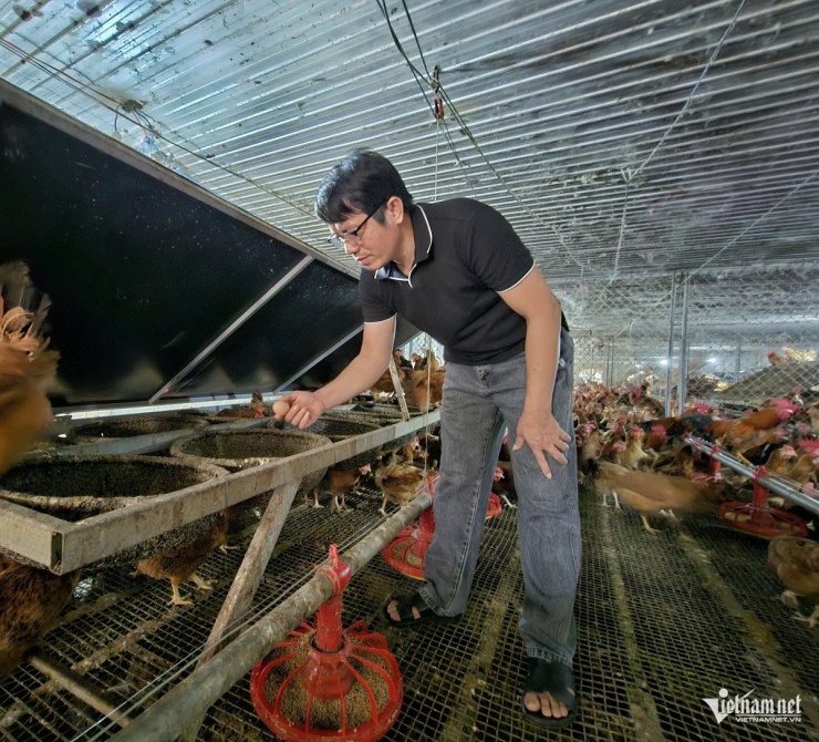 Trứng được tuyển chọn kỹ lưỡng. Ảnh: Hải Sâm