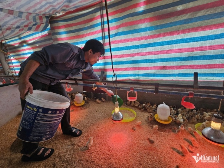 Tạo việc làm cho khoảng 10 lao động địa phương với thu nhập từ 8–9 triệu đồng/ tháng. Ảnh: Hải Sâm