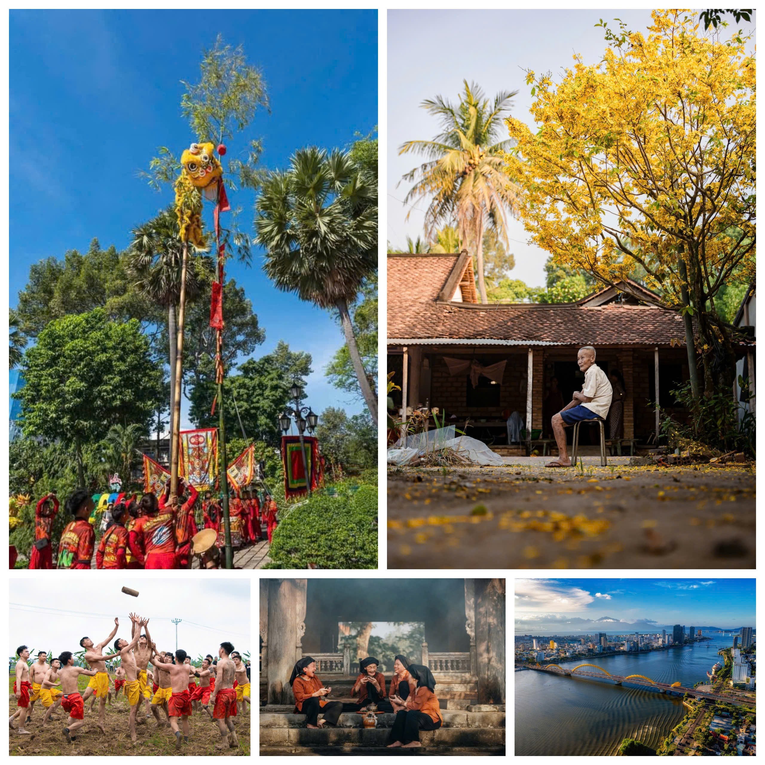 Top 5 bức ảnh đoạt giải.