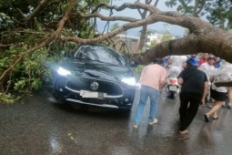 Hơn 4.100 nhà ở bị hư hỏng sau dông lốc ở Lào Cai