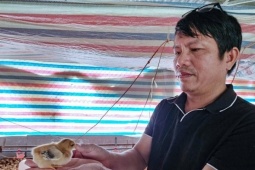 Chủ nông trại gác lại bằng bác sĩ thú y, thu gần 9 tỷ đồng/năm từ lai tạo loài bản địa