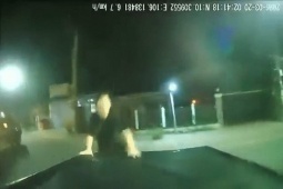 Khởi tố 8 đối tượng hành hung dã man thương lái mua sầu riêng tại Đồng Tháp