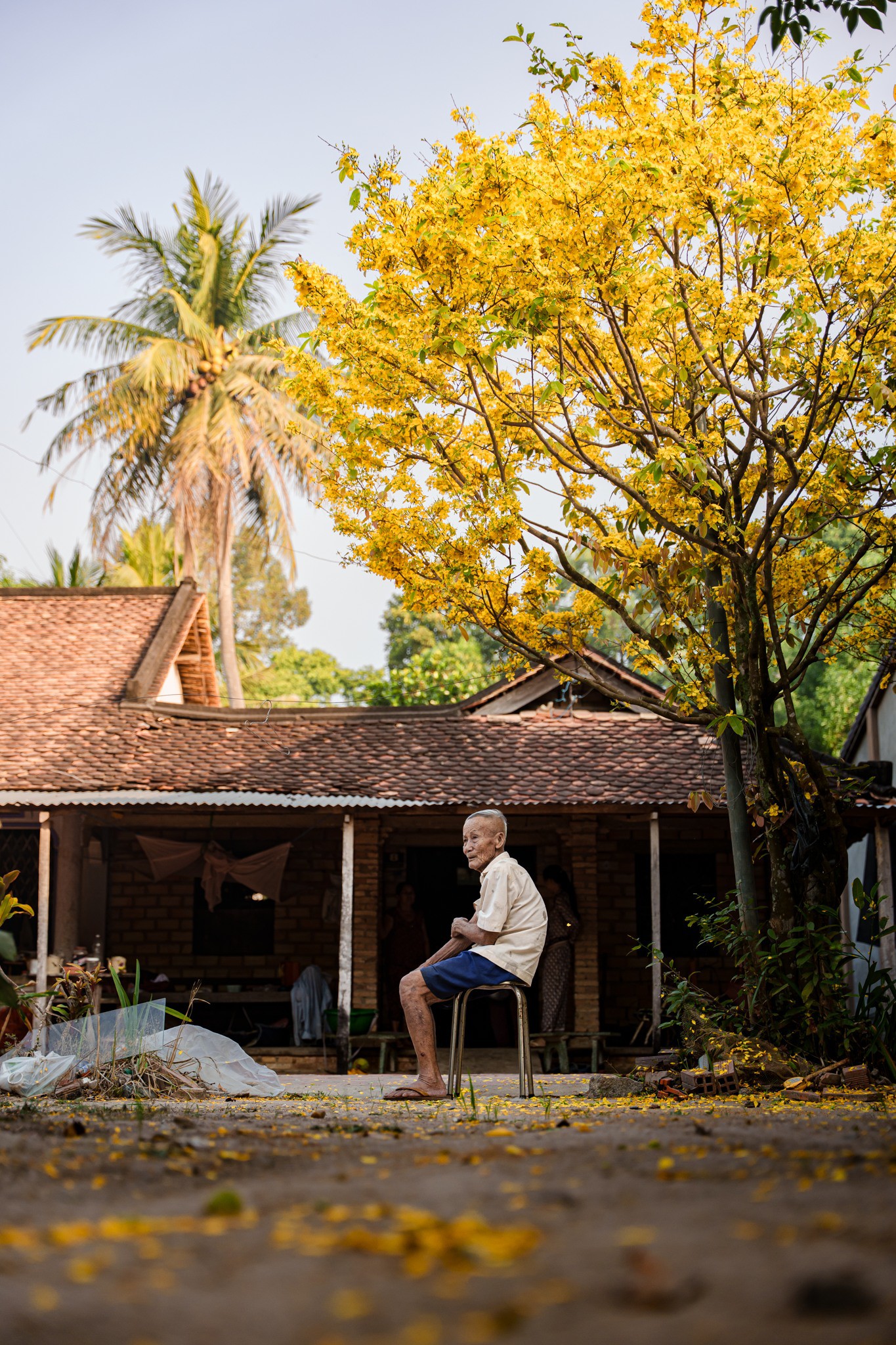“Tết về nhà”.