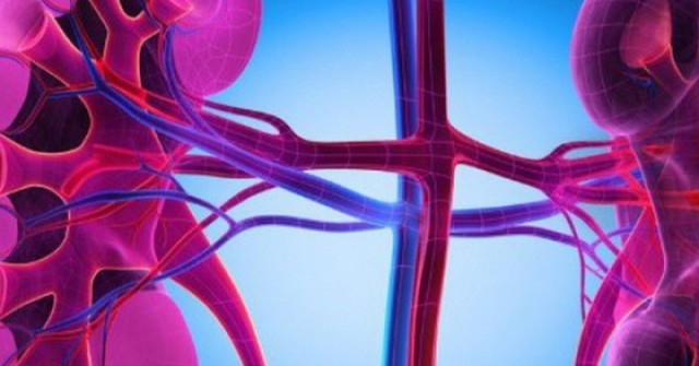 5 nhóm người có nguy cơ suy thận cao, người Việt cần biết để phòng tránh