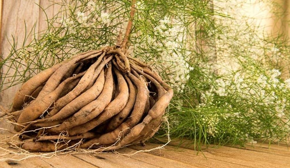 3 bài tập đơn giản giúp kích thích hormone tiết sữa tự nhiên cho mẹ sau sinh - 5