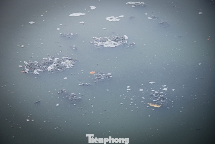 Phát triển Hồ Tây với tầm nhìn 100 năm - 20