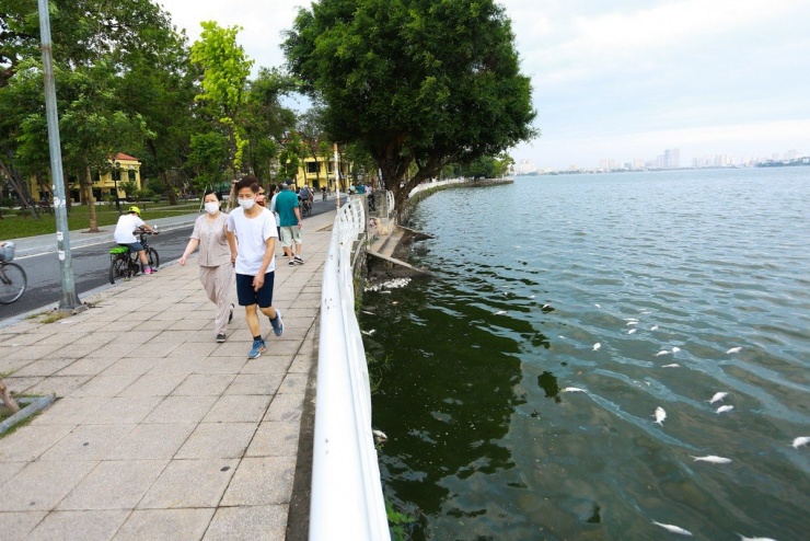 Nhiều khu vực đã không còn xác cá nhưng mùi hôi thối vẫn xộc lên khiến nhiều người dân không dám lại gần.
