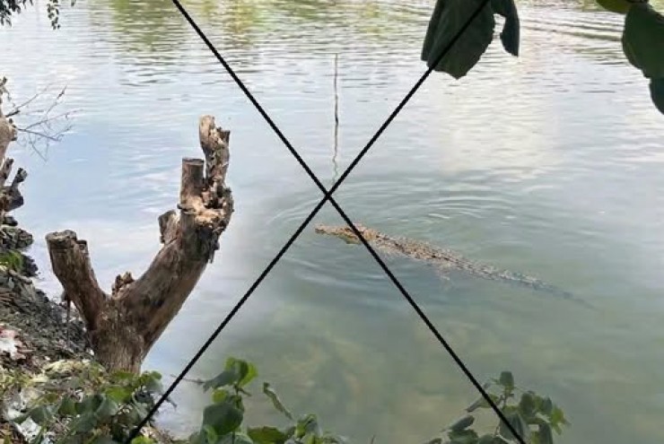 Thông tin lan truyền “cá sấu xuất hiện trên sông Chắc Băng”: Tạo ảnh bằng AI để mẹ dọa em gái!