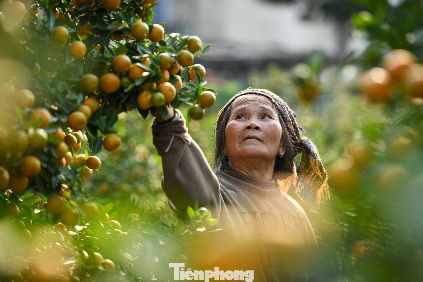 Những làng nghề nghìn năm bao quanh Hồ Tây không chỉ là ký ức, mà còn là tầng sâu văn hóa dệt nên diện mạo của Thăng Long - Hà Nội.