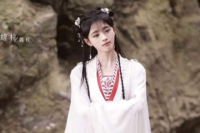 "Mỹ nhân 4.000 năm có một" Cúc Tịnh Y bị tố cáo trốn thuế - 5