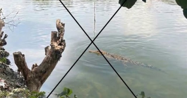 Thông tin lan truyền “cá sấu xuất hiện trên sông Chắc Băng”: Tạo ảnh bằng AI để mẹ dọa em gái!