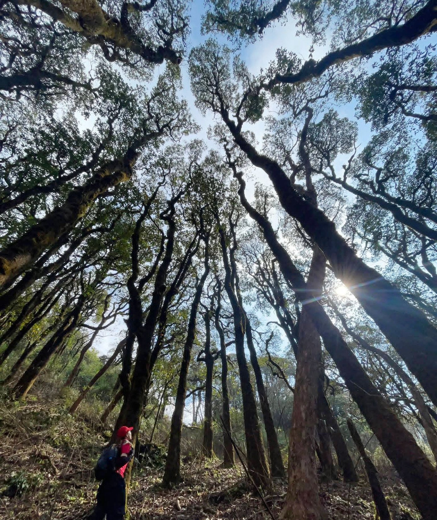 Theo người dân Nậm Nghẹp, mỗi cung đường là một thử thách khác nhau: Tà Rông nhẹ nhàng, phù hợp người mới; Tà Tao vừa sức nhưng giàu yếu tố văn hóa, tâm linh; Háu Nả Tà và Tà Dê Đơ đòi hỏi thể lực và kỹ năng.