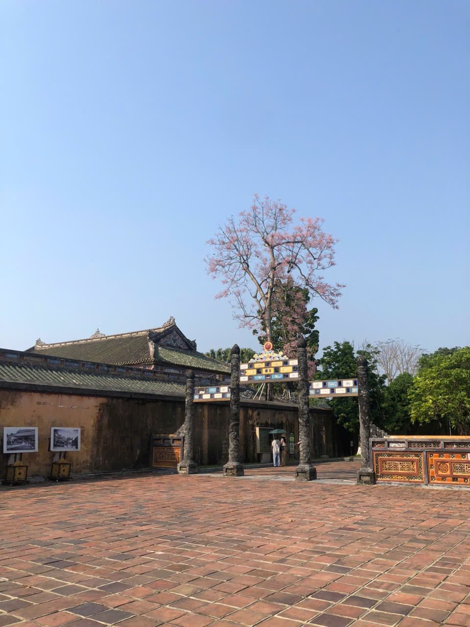 "Chùm kẹo mây" dễ thương ở điện Thái Hoà, Kinh Thành Huế. (Ảnh: Thùy Linh)