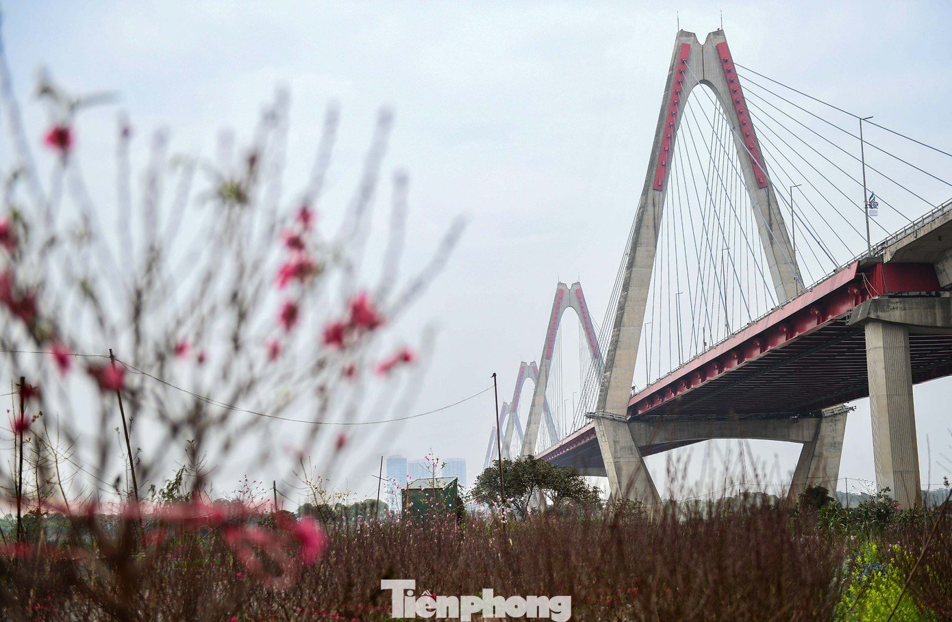 Những làng nghề nghìn năm bao quanh Hồ Tây không chỉ là ký ức, mà còn là tầng sâu văn hóa dệt nên diện mạo của Thăng Long - Hà Nội.