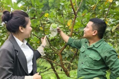 Bỏ lương giám đốc, trai họ Nguyễn về quê Nghệ An làm trang trại đẹp như phim, tự trả lương "khủng" cho chính mình