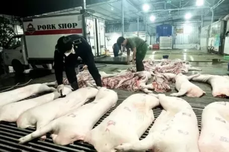 Vụ thịt lợn dịch vào bếp ăn: Nói thẳng về trách nhiệm của ngành nông nghiệp