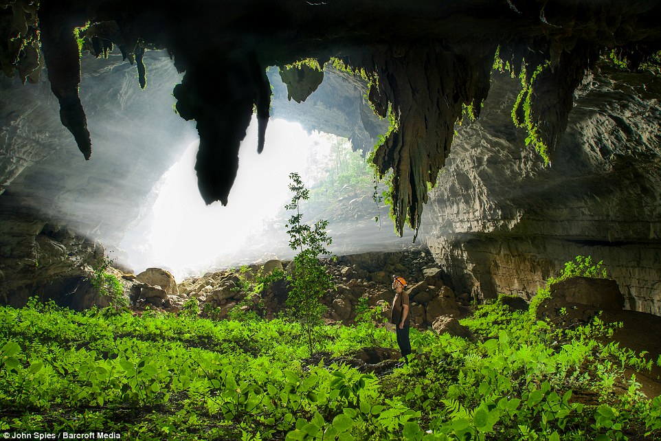 Những tia nắng lọt qua những vách đá vôi gần bờ sông Xa Bang Fai. Điều này đã tạo điều kiện cho dương xỉ và những cây tầng thấp phát triển thuận lợi.