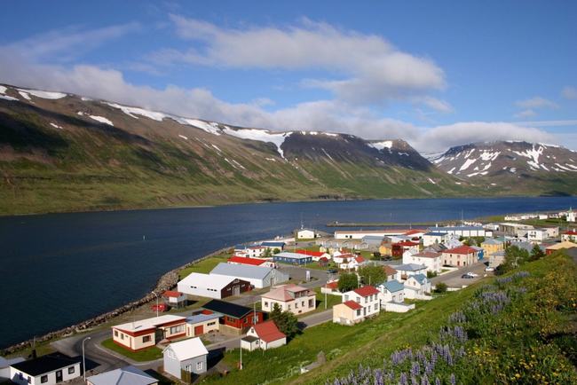Trong đợt khủng hoảng tài chính năm 2008, một người dân&nbsp;Iceland đã chính tay rao bán đất nước mình trên Ebay. Người trả giá cao nhất 10 triệu bảng Anh &#40;xấp xỉ 330 nghìn tỷ đồng&#41; sau đó đã không thể có được món hàng của mình vì Ebay không có quy định cho phép bán cả 1 quốc gia.