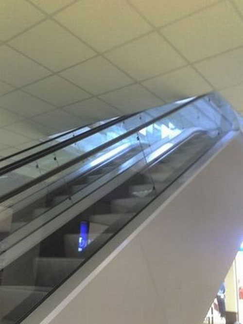 Và chiếc thang máy dẫn tới trần nhà.