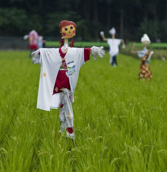Chim chóc chuột bọ vào đây sẽ bị bọn anh bao vây!