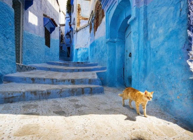 Chefchaouen, Ma-rốc: Các công trình kiến trúc của thị trấn này mang những nét tương đồng với vùng Địa Trung Hải. Điểm nổi bật nhất ở đây là các công trình được sơn duy nhất một màu xanh da trời.
