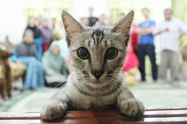 Hehe, ảnh của ai người đấy đẹp mà.