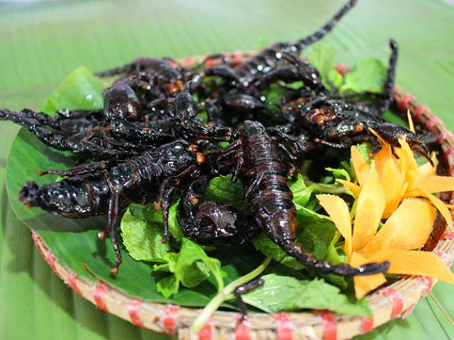 Những loài côn trùng ngon, bổ hấp dẫn thực khách trên bàn nhậu