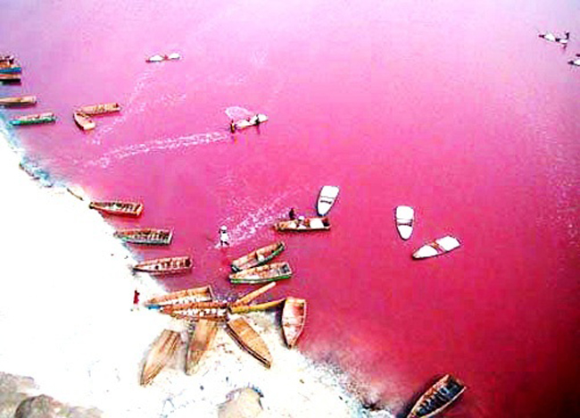 14. Hồ Retba: Hồ Retba, hay hồ hoa hồng, nằm ở phía bắc đảo Cap Vert của Senegal. Tên hồ bắt nguồn từ màu nước hồng đậm đặc trưng bởi loại tảo nơi đây sinh trưởng do hàm lượng muối cao tới 40%. Du khách tới đây vô cùng thích thú bởi những bụi cây samphire màu đỏ tía phát triển mạnh mẽ trên những bãi cát trắng, và cồn cát có màu đất nâu.