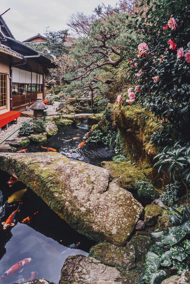 Thành phố Kyoto.
