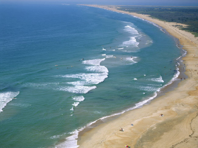 Cape Hatteras, bang North Carolina: Bãi biển này giống như một hệ sinh thái với cây cối xanh tốt, động vật hoang dã, đầm lầy ngập mặn. Sóng ở đây rất mạnh thích hợp cho những người đam mê lướt ván.