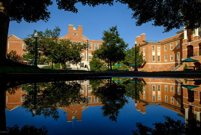 Wake Forest được tạo thành từ 6 trường đại học thành viên. Các chương trình đào tạo sau đại học bao gồm các trường thuộc trường Luật , trường Kinh doanh và Y khoa .