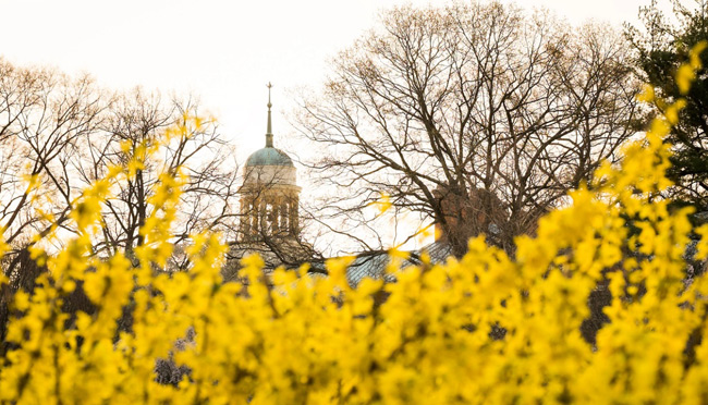 Bình minh tràn ngập sắc hoa ở Đại học&nbsp;Wake Forest