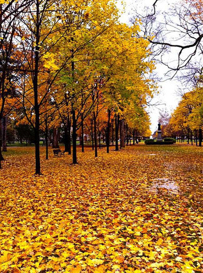 Đại học&nbsp;Notre Dame mùa lá rụng